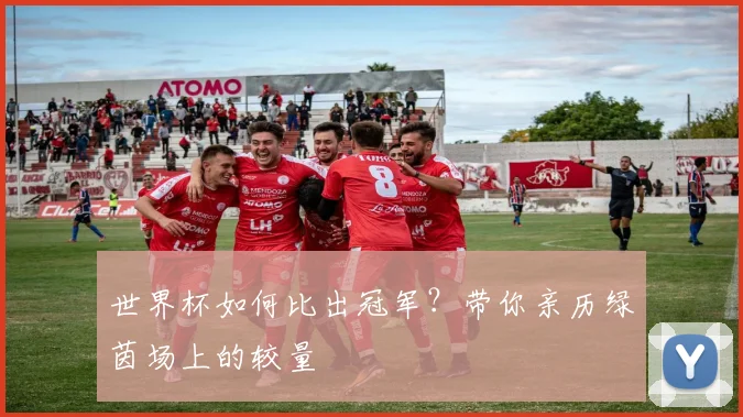 世界杯如何比出冠军？带你亲历绿茵场上的较量