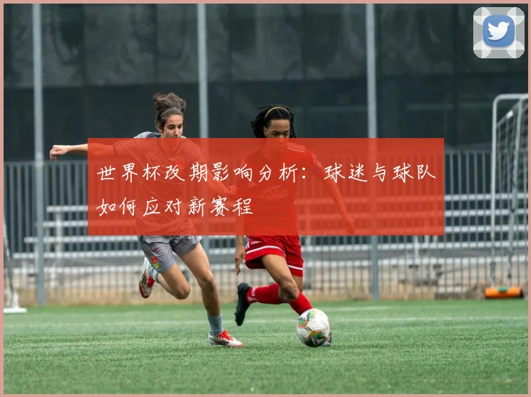 世界杯改期影响分析：球迷与球队如何应对新赛程