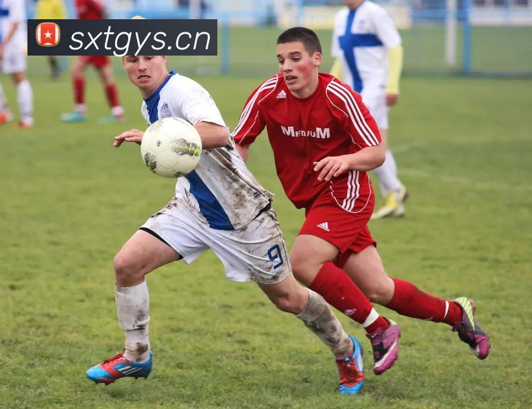 爱趣游戏平台平台生态图